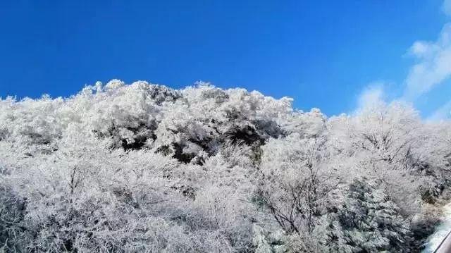 豆娃勇士2